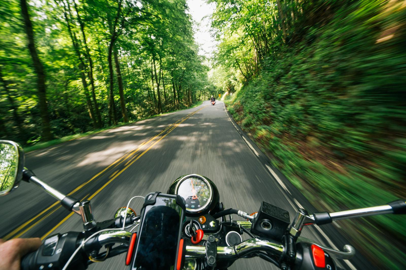 Experience the thrill of speed on a motorcycle journey through lush, winding forest roads.